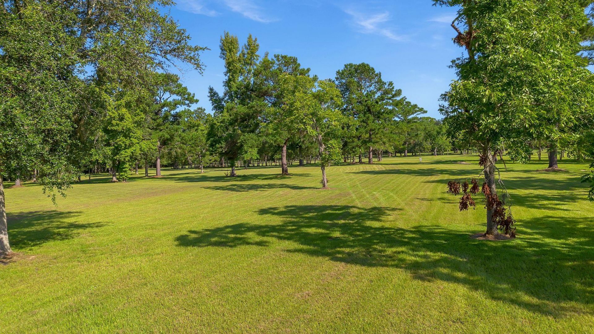 307 Crabapple Drive, Monticello, FL 32344 Photo