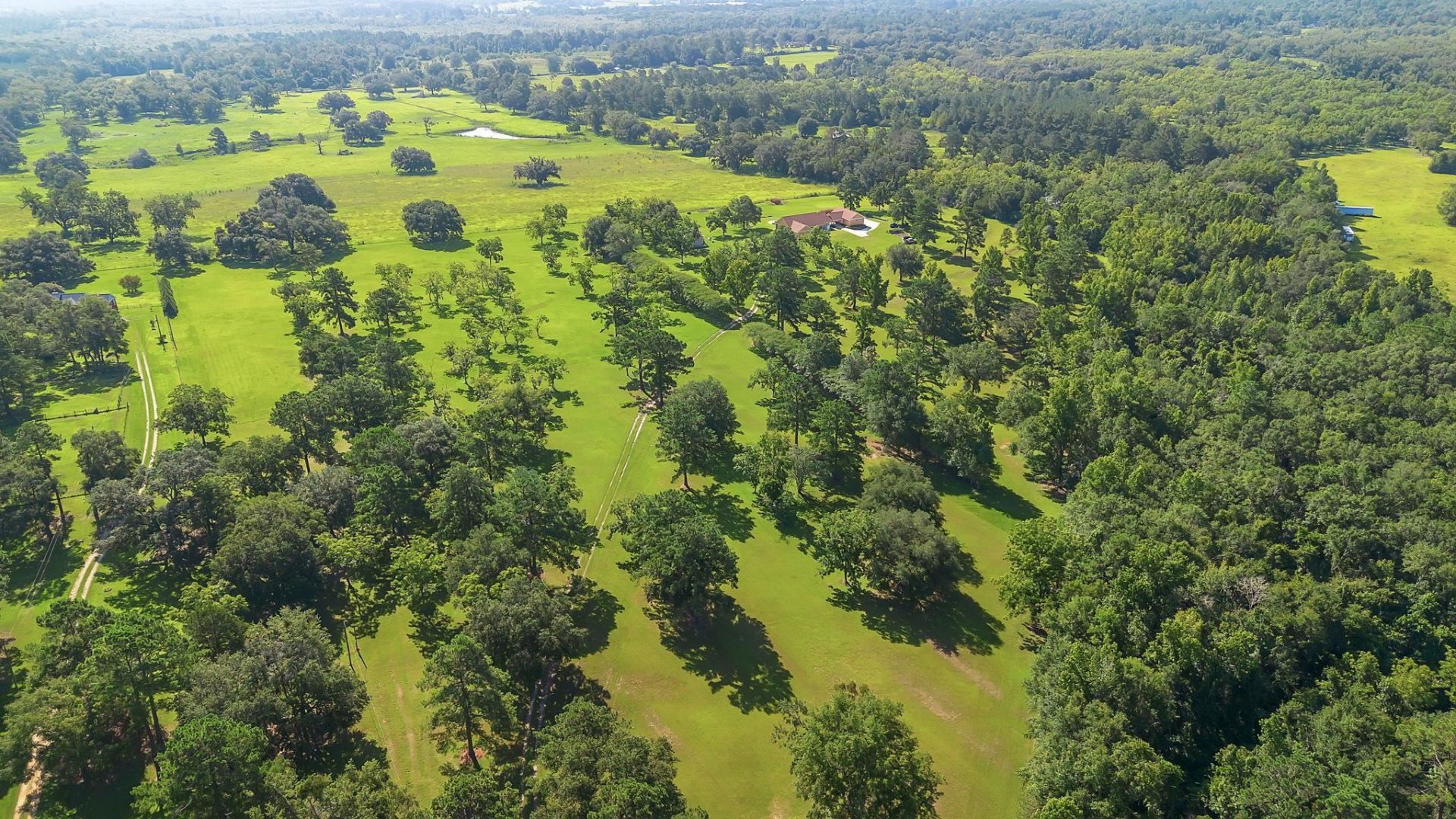 307 Crabapple Drive, Monticello, FL 32344 Photo