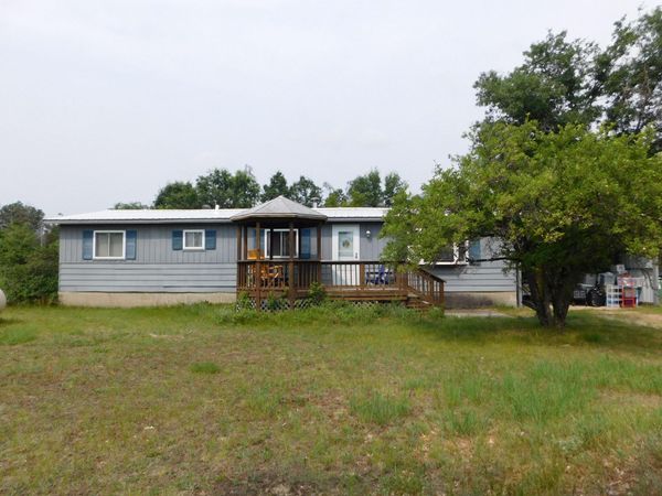 2328 S Horseshoe Trail, Grayling, MI 49738