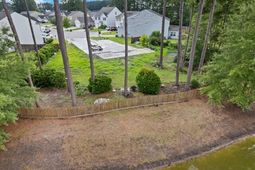 534 Stafford Springs Court photo 4