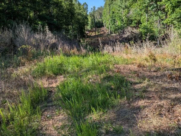 0 Old Forge RD, Rocky Mount, VA 24151