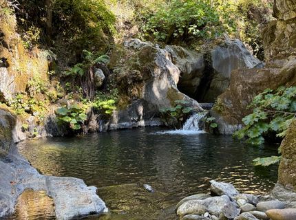 Blue Canyon Rd, Emigrant Gap, CA 95715 Photo