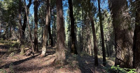 Blue Canyon Rd, Emigrant Gap, CA 95715 Photo