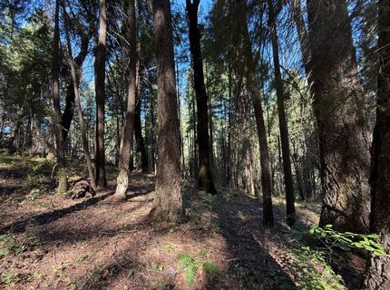 Blue Canyon Rd, Emigrant Gap, CA 95715 Photo