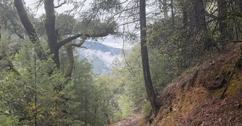 Blue Canyon Rd, Emigrant Gap, CA 95715 Photo