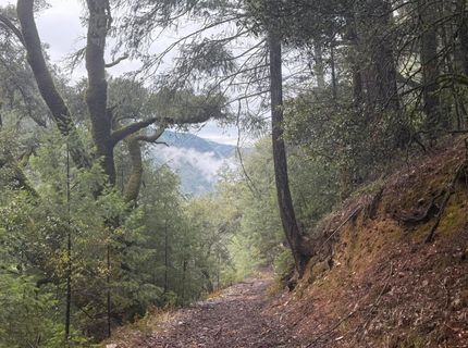Blue Canyon Rd, Emigrant Gap, CA 95715 Photo