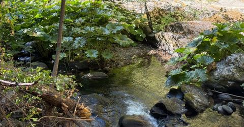 Blue Canyon Rd, Emigrant Gap, CA 95715 Photo