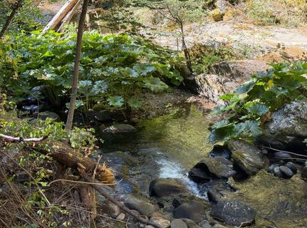 Blue Canyon Rd, Emigrant Gap, CA 95715 Photo