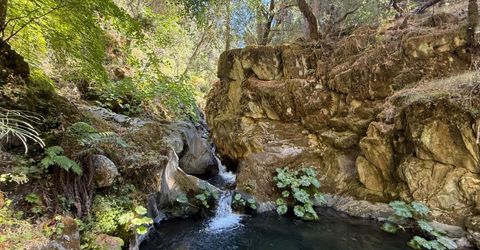 Blue Canyon Rd, Emigrant Gap, CA 95715 Photo