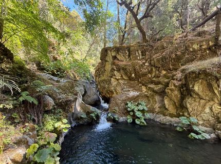 Blue Canyon Rd, Emigrant Gap, CA 95715 Photo