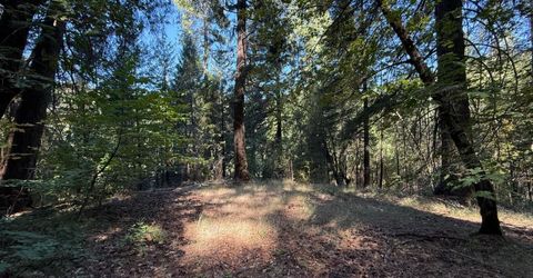 Blue Canyon Rd, Emigrant Gap, CA 95715 Photo