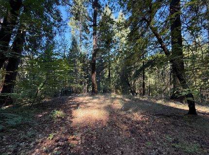 Blue Canyon Rd, Emigrant Gap, CA 95715 Photo