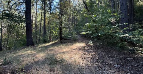 Blue Canyon Rd, Emigrant Gap, CA 95715 Photo