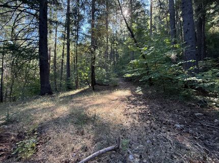 Blue Canyon Rd, Emigrant Gap, CA 95715 Photo