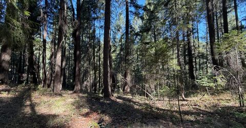 Blue Canyon Rd, Emigrant Gap, CA 95715 Photo