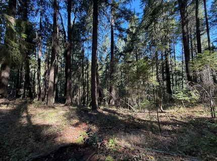 Blue Canyon Rd, Emigrant Gap, CA 95715 Photo