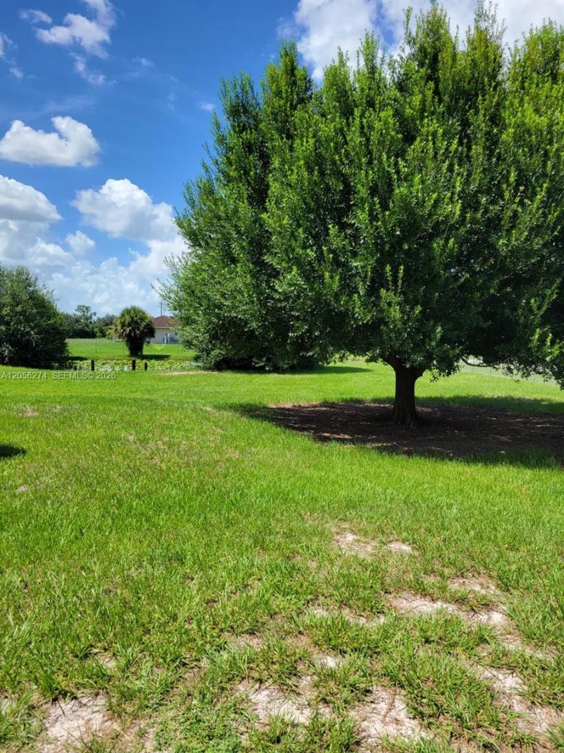 369 Horse Club Ave , Clewiston, FL 33440 Photo