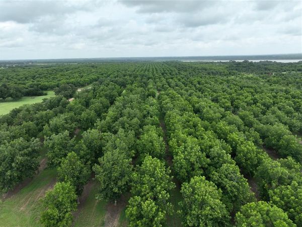 TBD CR 424 , Comanche, TX 76442
