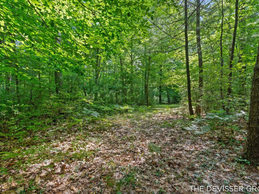 Property Image 50