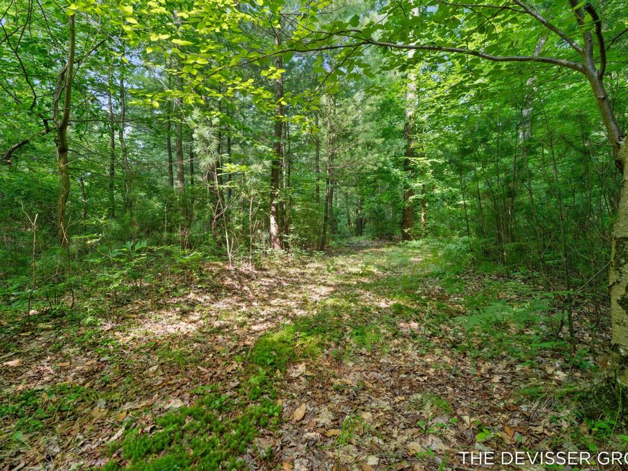 Property Image 51