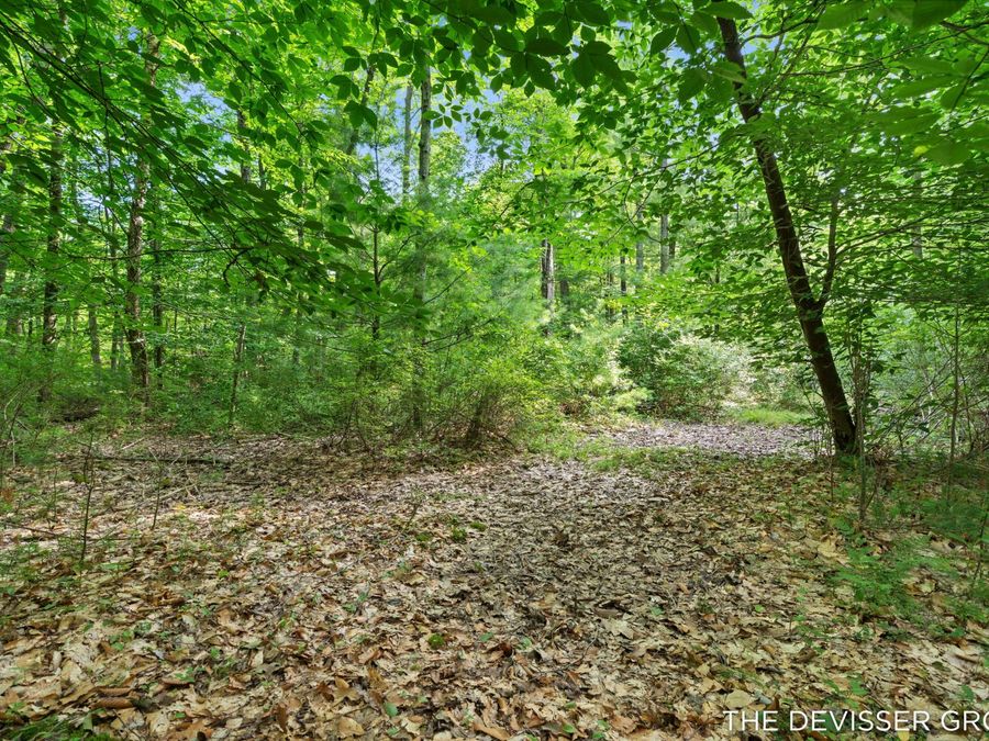 Property Image 53