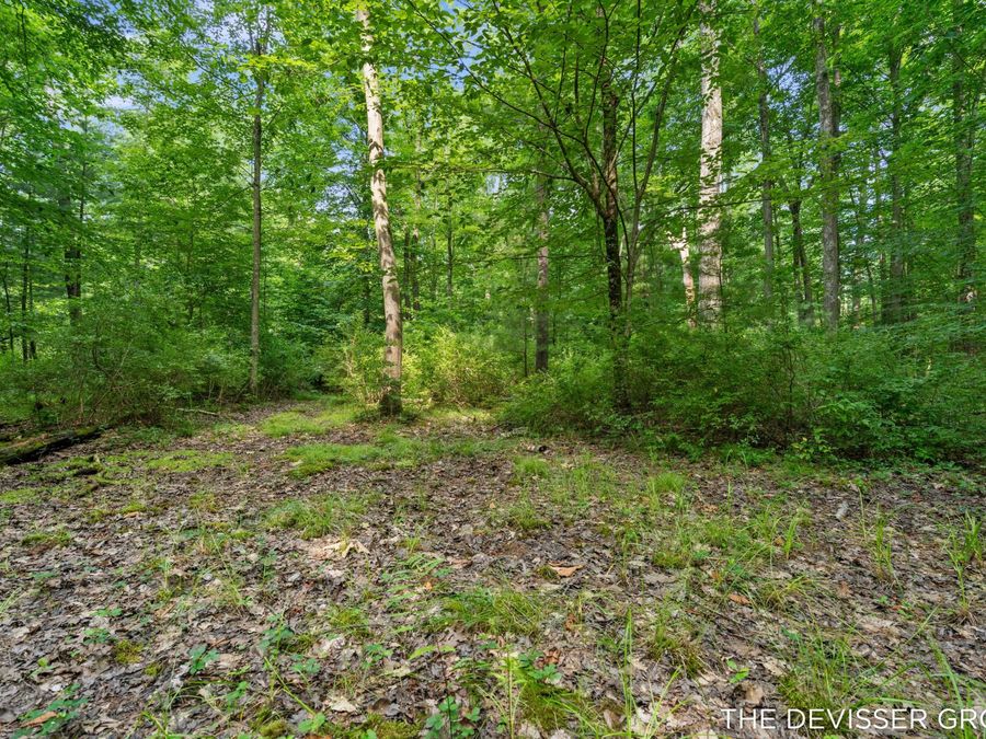 Property Image 74