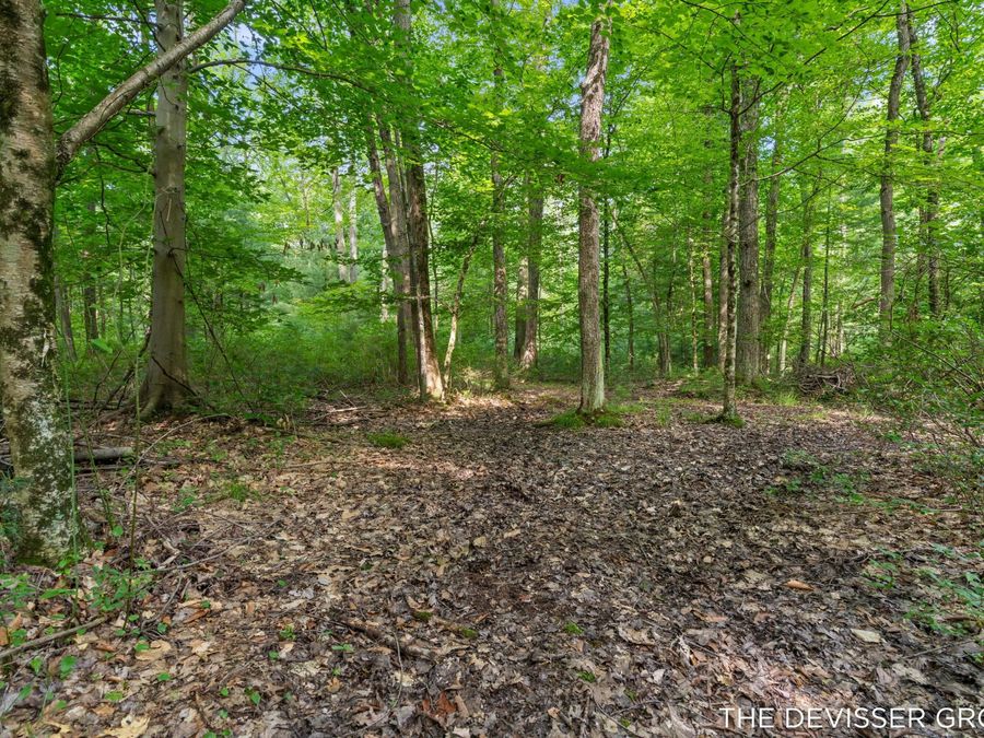 Property Image 81