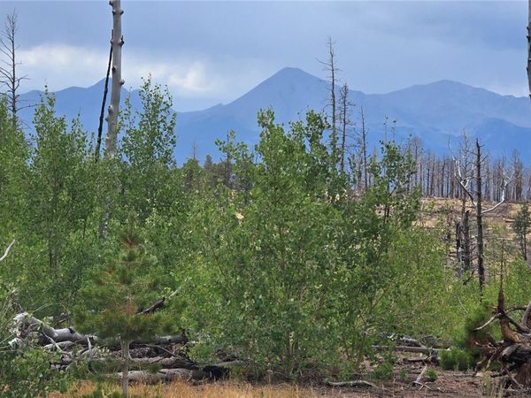 Lot 1177 Bechtel Place , Fort Garland, CO 81133