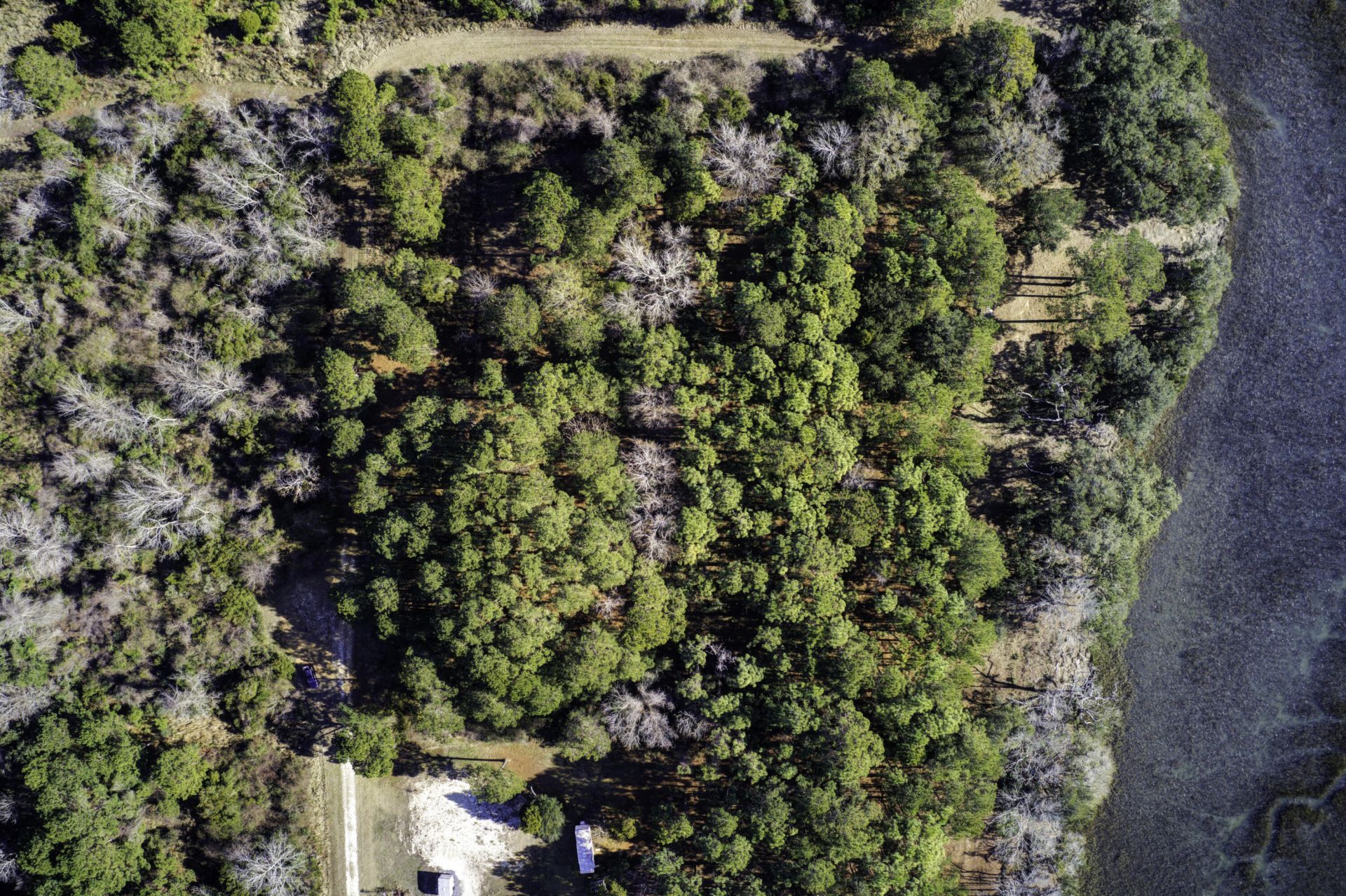 4 Morants Point Road Photo 20