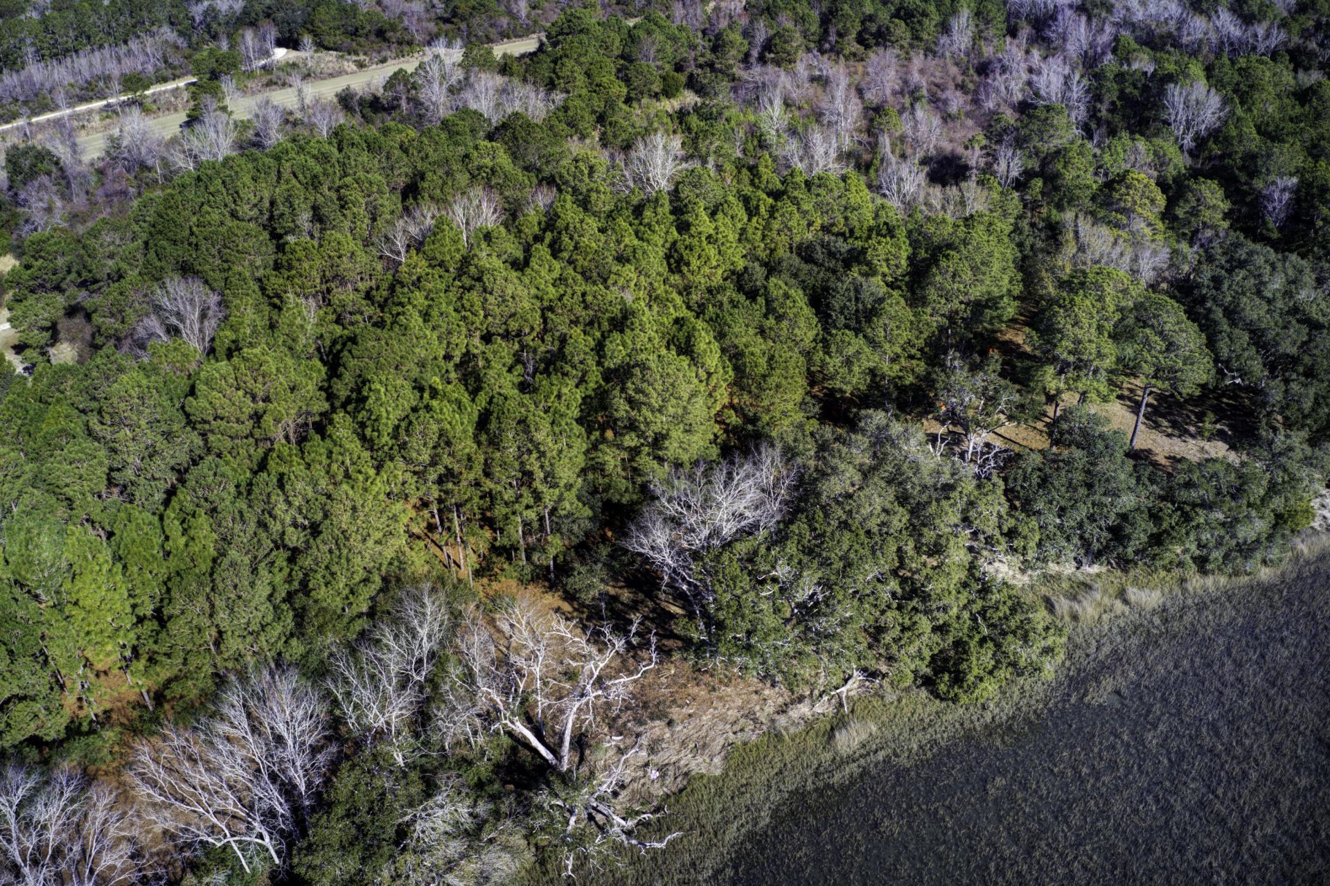 4 Morants Point Road Photo 24