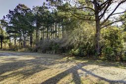 4 Morants Point Road photo 4
