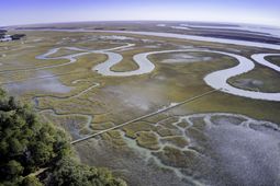 4 Morants Point Road photo 4