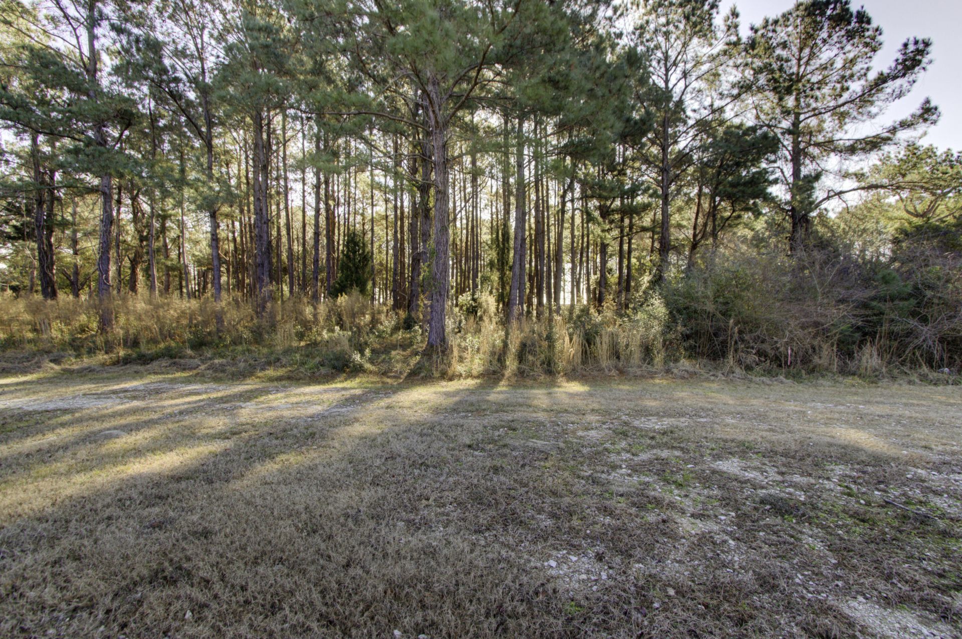 4 Morants Point Road Photo 7