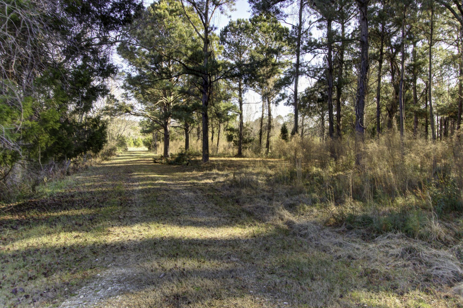 4 Morants Point Road Photo 8