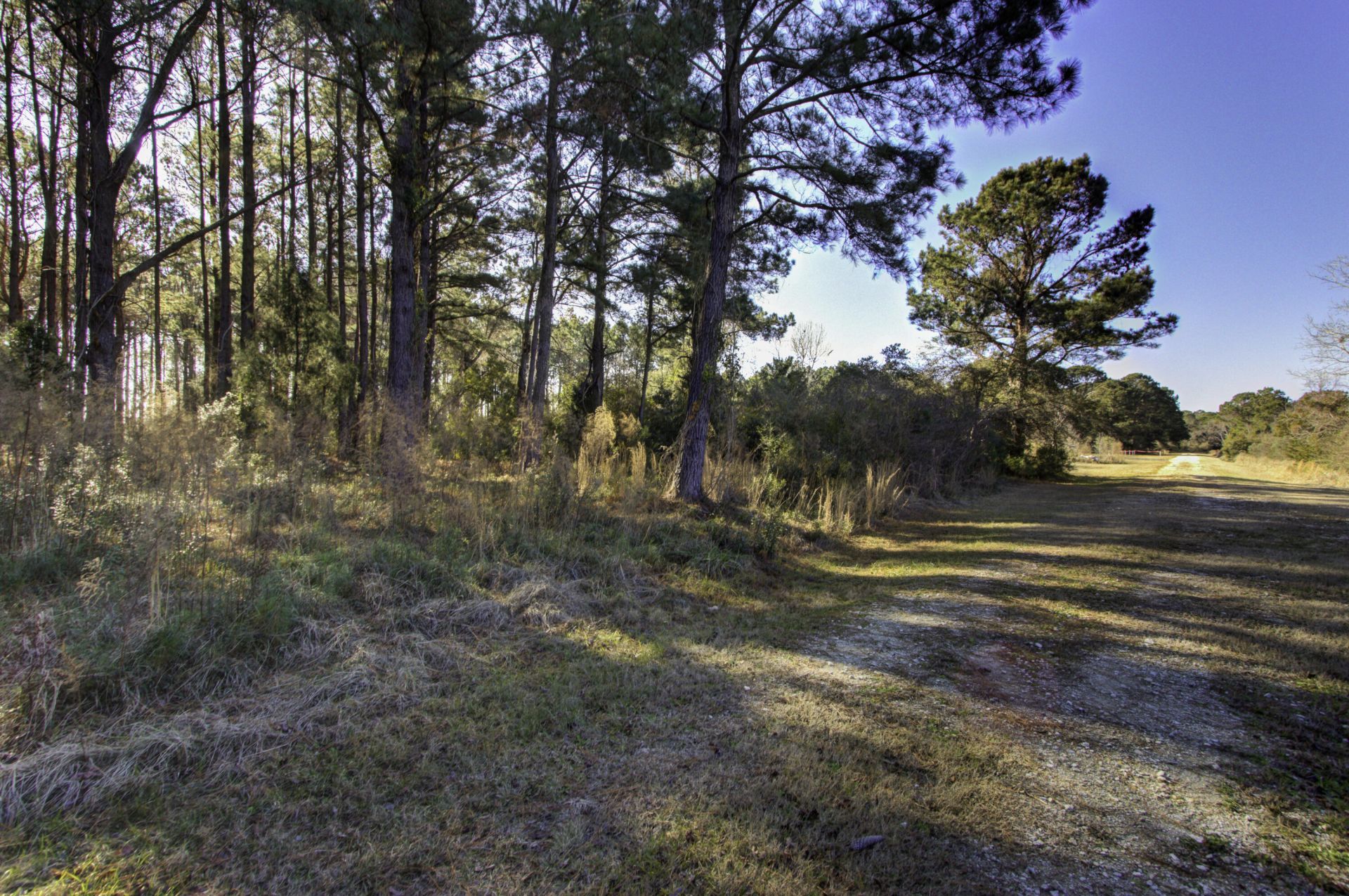 4 Morants Point Road Photo 9