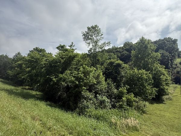 0 Highway 31 E, Westmoreland, TN 37186