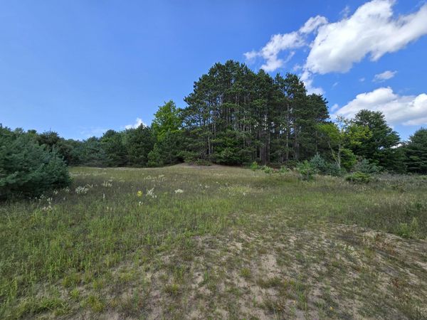11 Mile Road, Unit Parcel B, Bear Lake, MI 49614