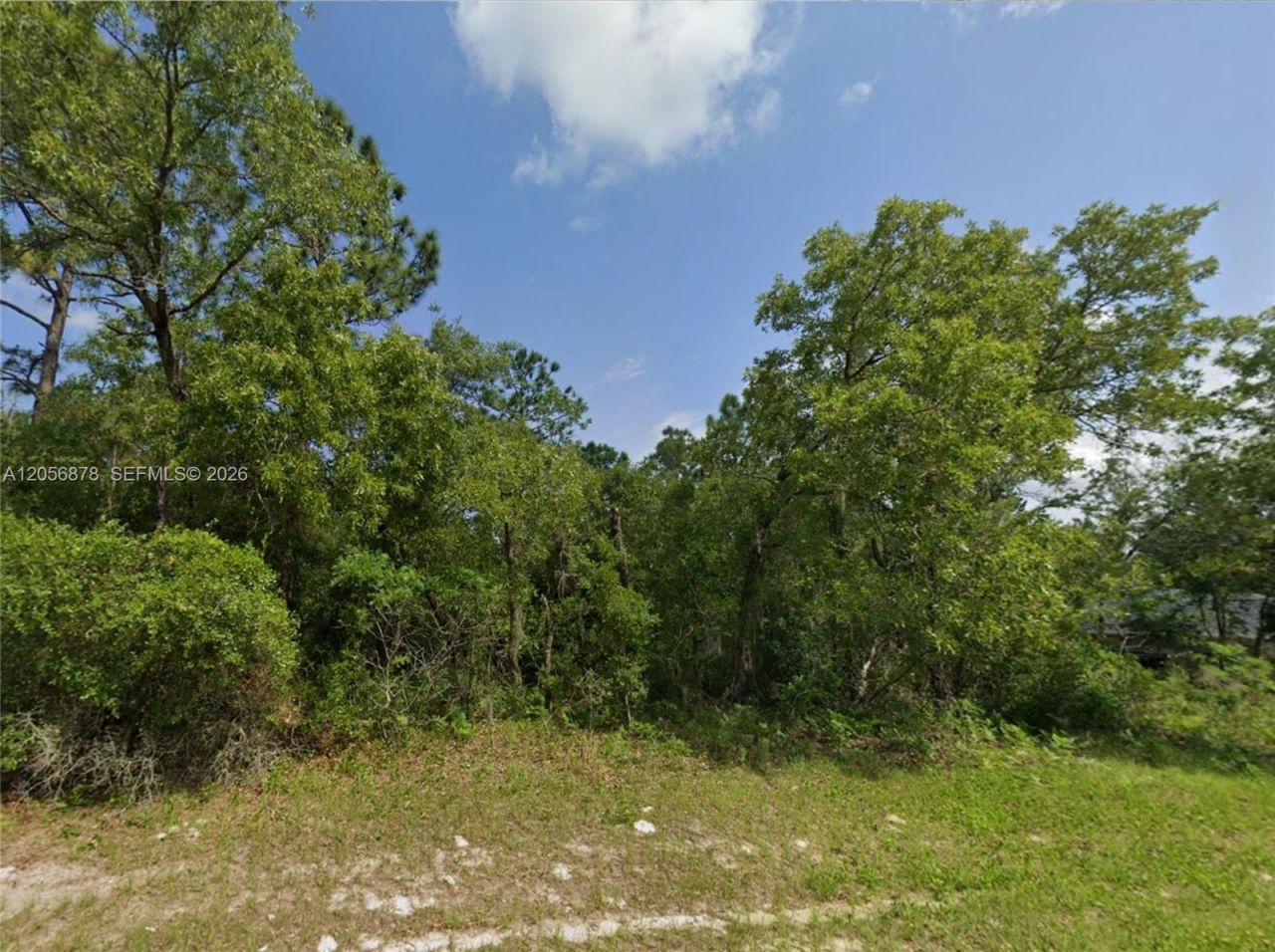 0 SW 73rd Ct Rd , Ocala, FL 34473 Photo