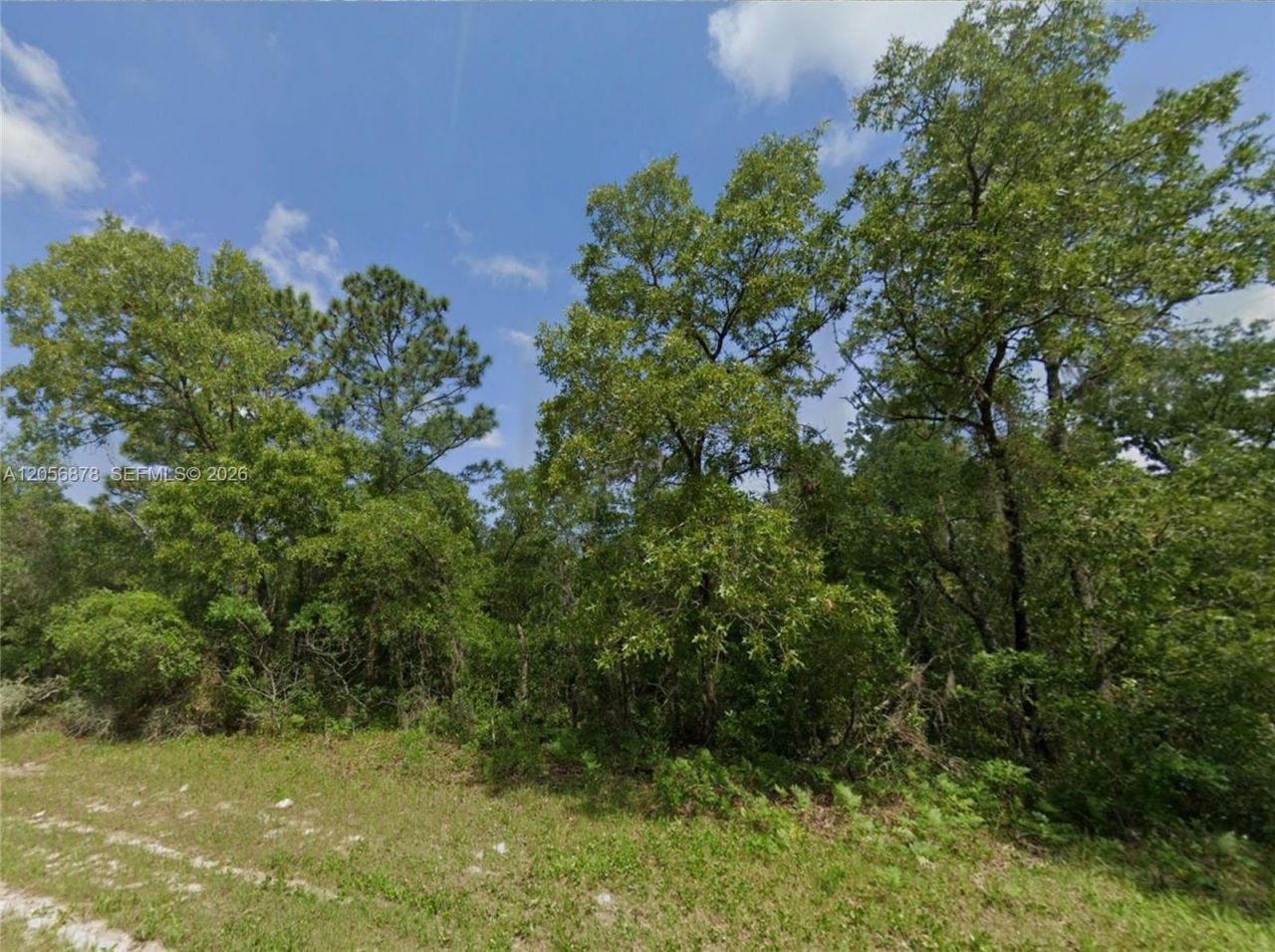 0 SW 73rd Ct Rd , Ocala, FL 34473 Photo