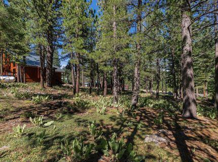 13020 Hillside Drive , Truckee, CA 96161 Photo