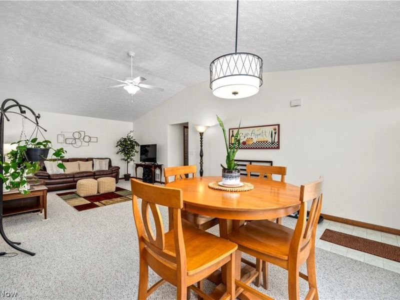 519 Heather Woods Drive, Elyria, OH 44035 Photo 11