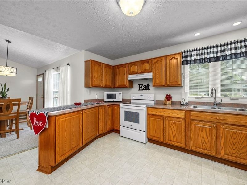 519 Heather Woods Drive, Elyria, OH 44035 Photo 8