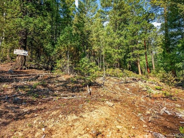 12907 S Cindy Avenue, Pine, CO 80470