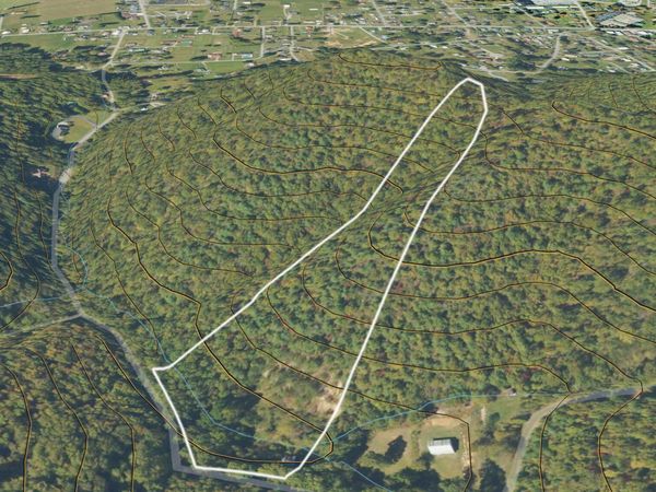 Tbd Bailey Hollow Road, Erwin, TN 37650