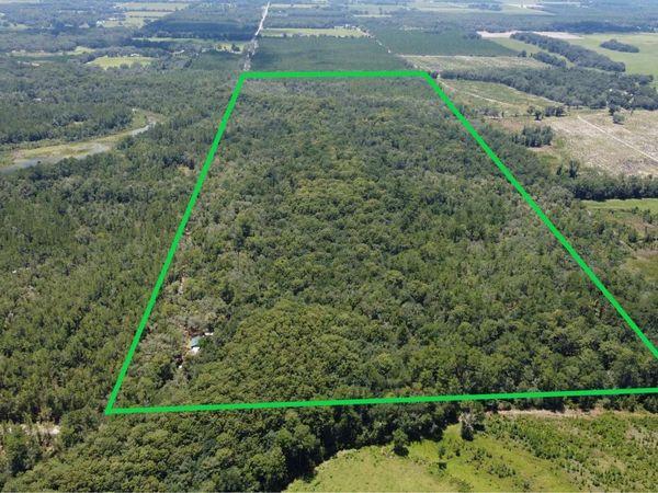 1890 SE BADGER RD, Branford, FL 32008