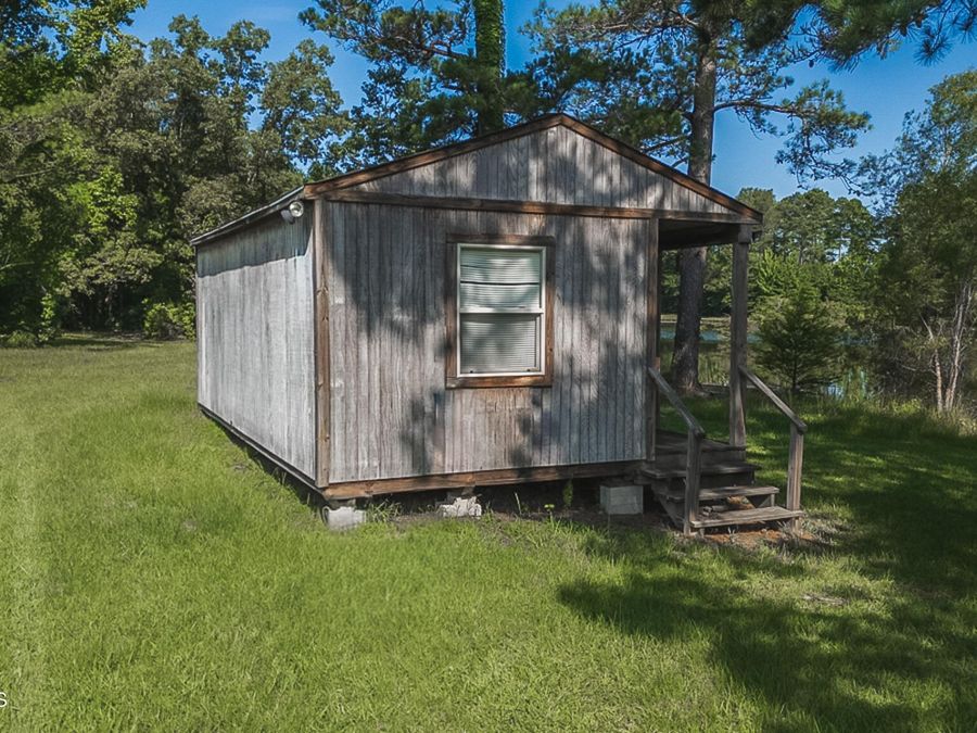 Property Image 42