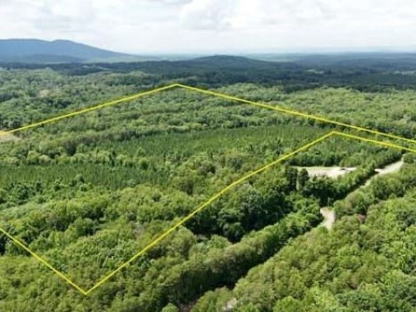 0 Bunker Hill Road , Walnut Cove, NC 27052