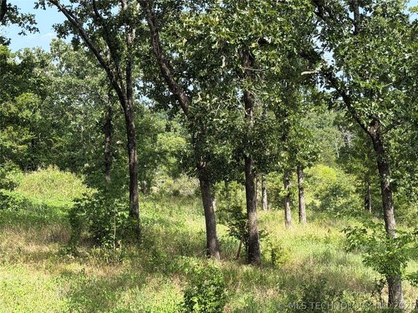 Double Springs Road , McAlester, OK 74501