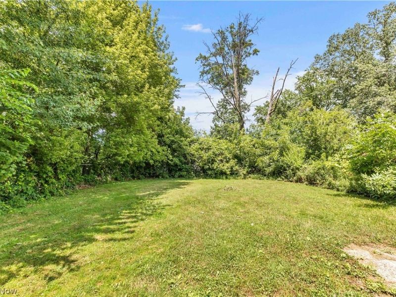2703 Crehore Street, Lorain, OH 44052 Photo 28