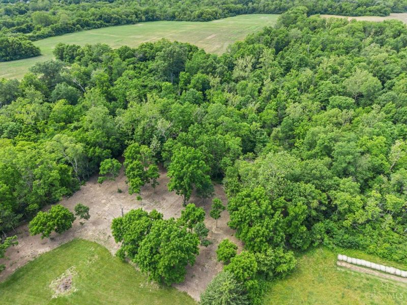 5596 Greentree Road, Turtle Creek Twp, OH 45036 Photo 7